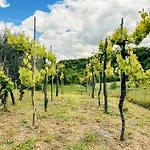Il Tuo Casale Tra Le Colline - Marche House * Venarotta