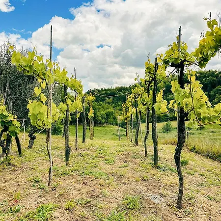 Casa Con Giardino Tra Mare E Monti - Marche House * Venarotta